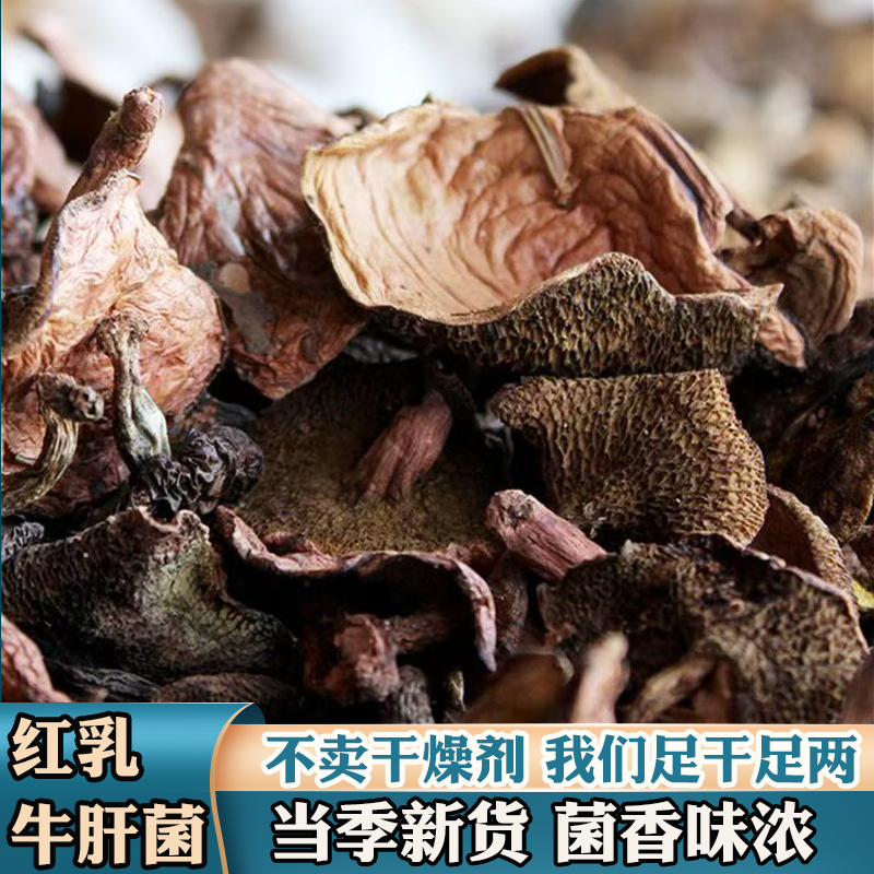 野生红乳牛肝菌干货四川特产乳牛肝剔除黑杂霉菌菇食用野生菌