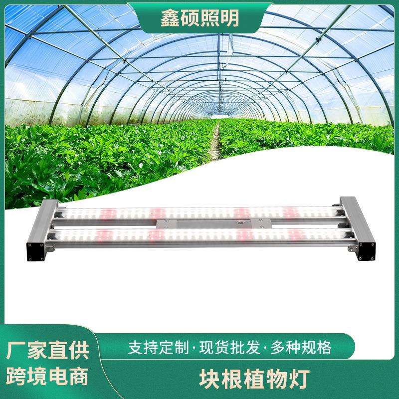 块根植物补光灯仿太阳上色补光灯花架龙舌兰绿植盆栽led植物灯