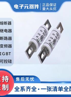 现货FWX-60AFWX-80A型号齐全标准封装直流快速熔断器量大从优高压