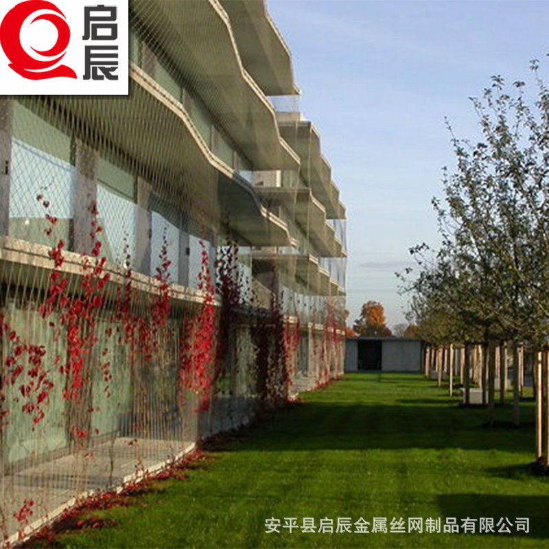 植物攀爬绳网不锈钢卡扣编织绳网防护网绿色植物网爬藤绳网厂家