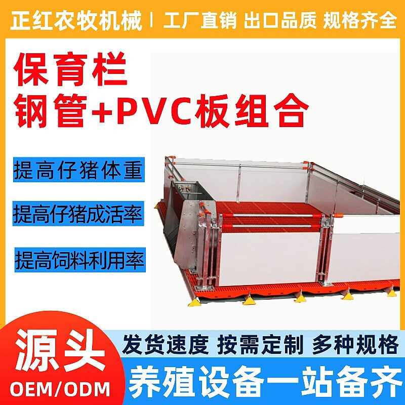 正红养殖设备保育床仔猪双体塑料复合板热镀锌管保育栏养猪设备