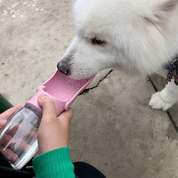 宠物外出便携可折叠饮水器狗狗猫咪泰迪比熊随身喂水喝水杯