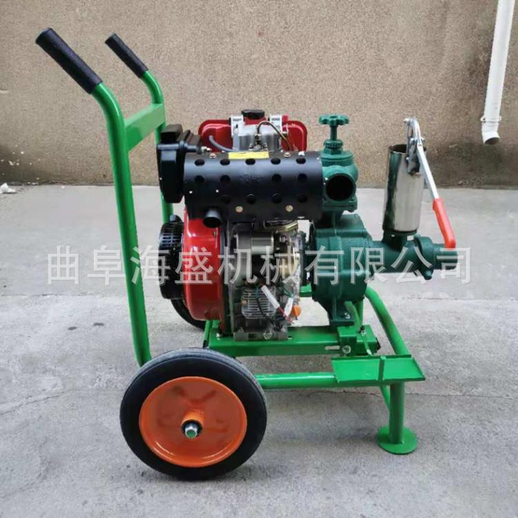 195型风冷柴油机组高扬泵 3寸高压泵 带喷灌微喷柴油抽水泵120米
