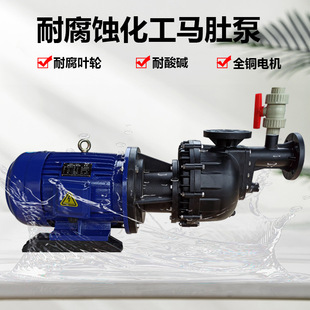 大头泵马肚泵长颈进水口5.5KW2寸口径排污 2自吸式 长美YE2 132S1