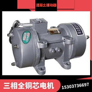 ZF220 供应ZW 380v 2.2KW 50混凝土振动器 10平板振动器