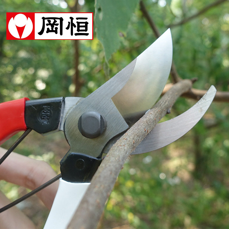日本岡恒104原装正品专业修枝剪果园盘景修枝剪园艺剪刀直销