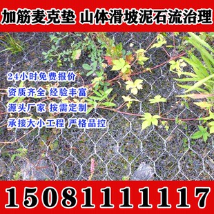江苏固坡生态修复护坡加筋麦克垫三维植被网河道绿化宾格护坡网防