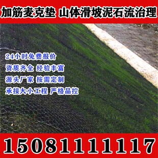 浙江加筋麦克垫绿化网垫聚丙烯三维植垫被生态护坡防水土流失固土