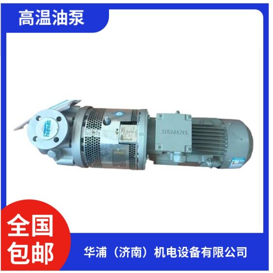 热处理备件 高温油泵 高温环境  4KW  国外进口