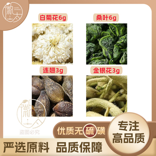 白菊花6连翘3桑叶6金银花3 组合滋补养生茶代用茶原料无硫可定制