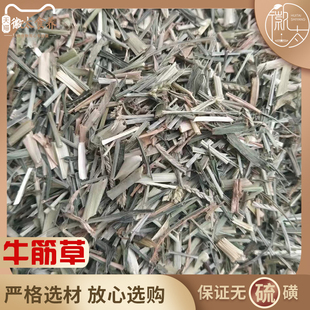 牛筋草 中药材中草药新鲜干货 牛筋草干 蟋蟀草 千金草 500g克