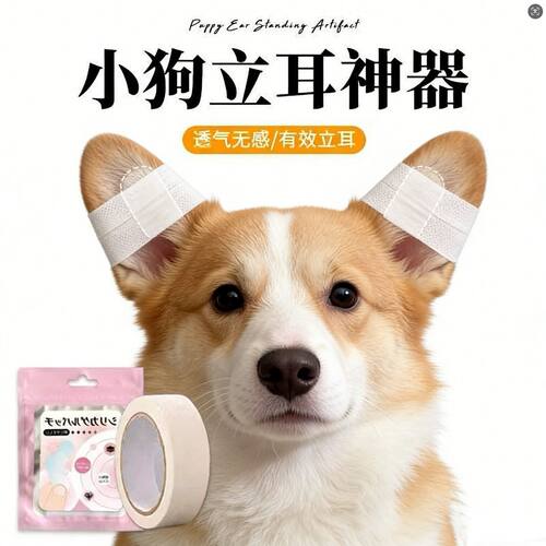 狗狗立耳竖耳贴幼犬通用固定器