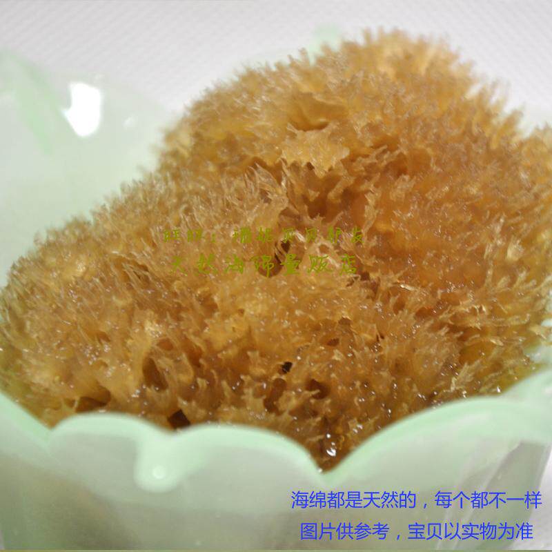 希腊天然海藻棉 自然原色蜂窝洗澡海绵5.5~6英寸地中海沐浴刷棉球