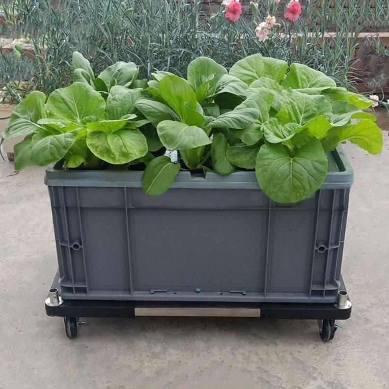气雾栽培箱阳台无土栽培蔬菜种植机水培设备家用种菜瓜果家庭专用
