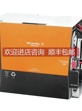 询价CP A BATTERY 24V DC17AH1251110000