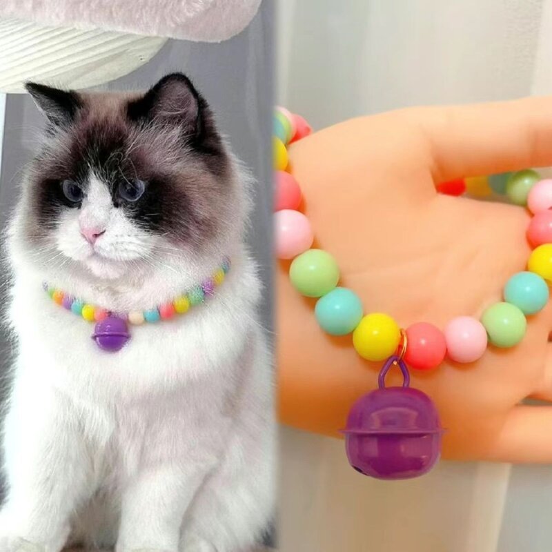 泰迪比熊小型宠物彩色糖果铃铛项圈猫狗可爱项链挂饰百搭饰品