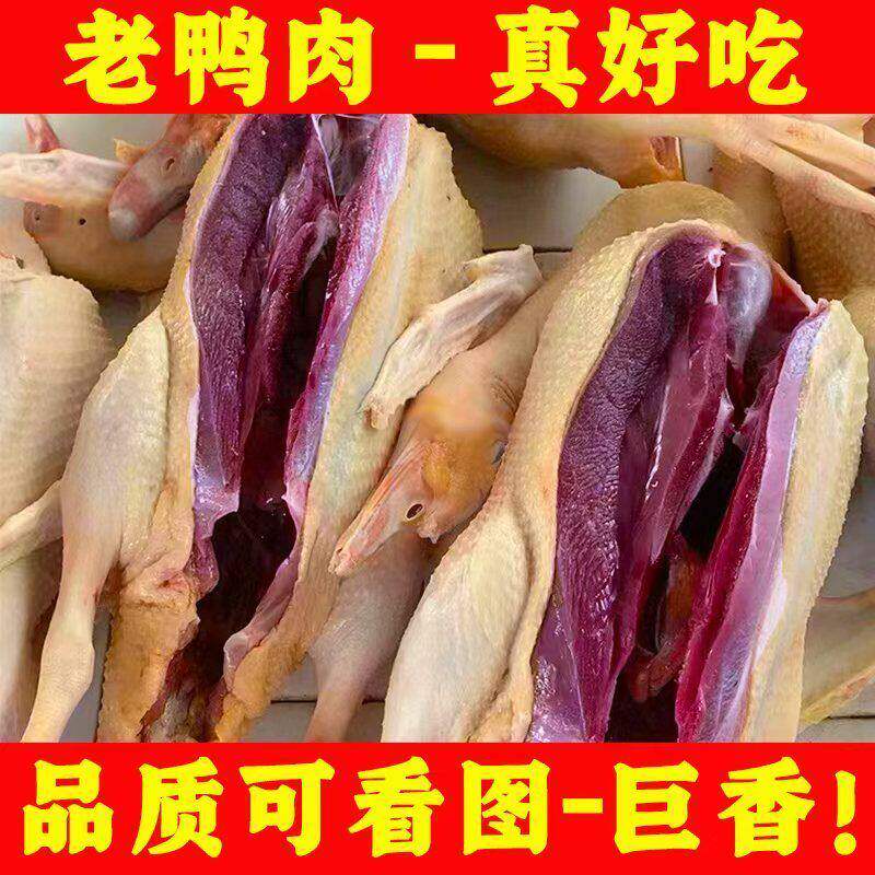顺丰包邮山林散养土鸭姜母鸭非红脸非三年老鸭子肉整只新鲜
