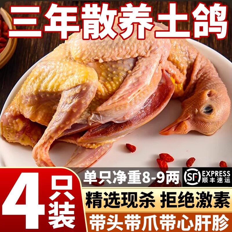 三年老鸽子新鲜冷冻土鸽乳鸽现杀8两杂粮喂养孕妇滋补整只鸽子肉