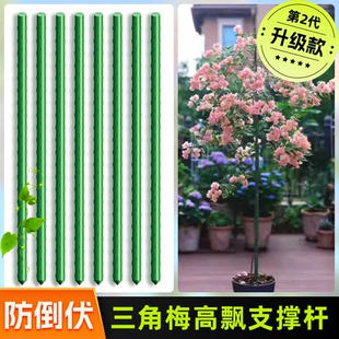 三角梅高飘支撑杆月季爬藤架子花架固定器绿植物防倒伏花卉支撑架