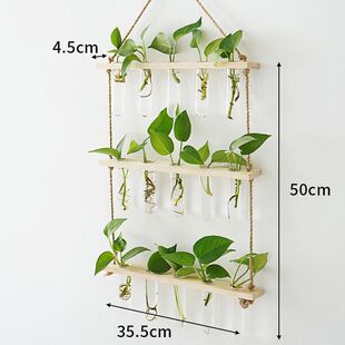 欧式田园风木架试管透明玻璃花瓶墙壁壁挂悬挂水培绿植插花瓶