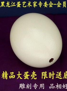 天然大号鸵鸟蛋壳工艺品雕刻DIY原材料驼鸟蛋壳恐龙蛋复活节彩蛋