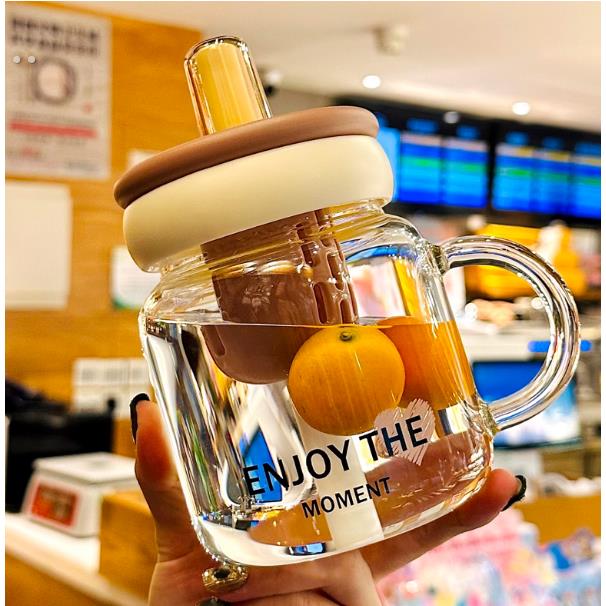 夏日饮水杯茶水分离泡茶2025新款高硼硅玻璃杯带把手高颜值女生