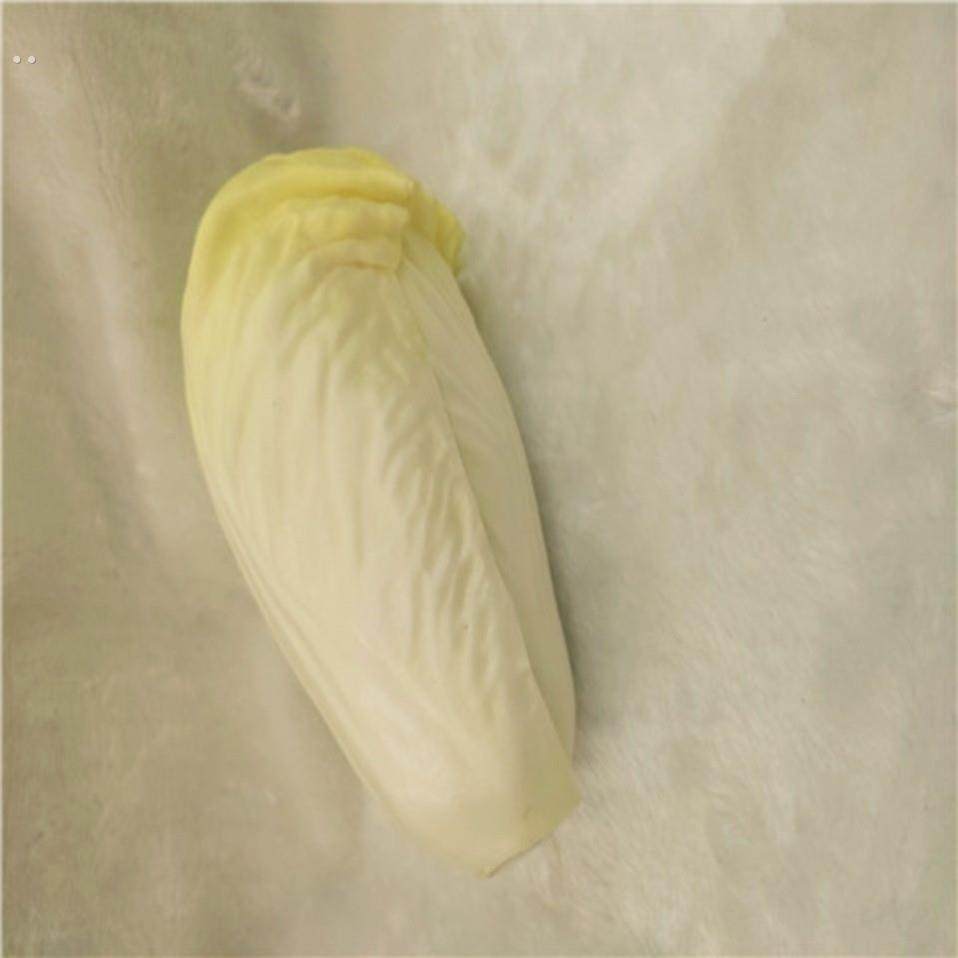 仿真娃娃菜模型家居摆件蔬菜样品,鲜花速递/花卉仿真/绿植园艺,仿真果蔬,淘宝优惠券,粉丝福利购,淘宝优惠卷