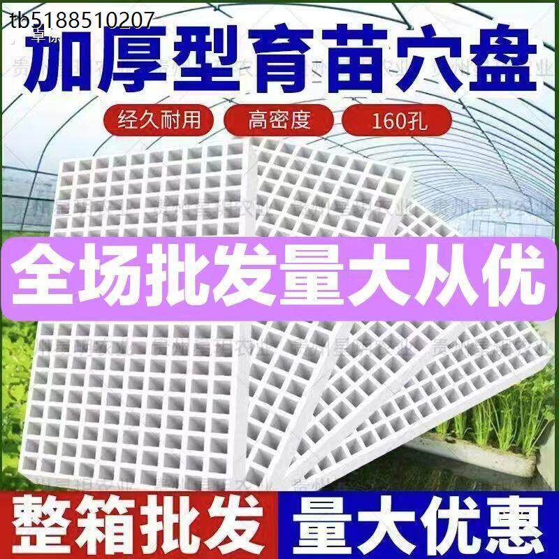 加厚泡沫漂浮育苗盘水培漂浮板水上漂浮托盘辣椒秧苗水上育苗漂大