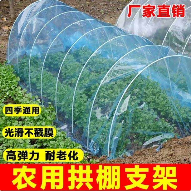 农用菜园小拱棚支架玻璃纤维杆带膜蔬菜保温棚防寒高透光菜地塑料