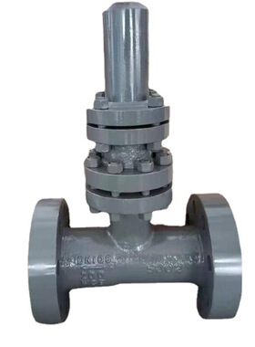 H48H电站空排止回阀 再循环泵出口空排止回阀 电站专用逆止阀高压