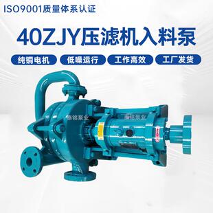 卧式40ZJY压滤机入料泵专用洗煤泥浆泵高铬合金耐磨抽沙泵送料泵