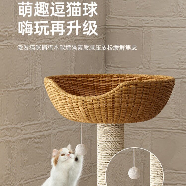圩派一体大猫架子猫树不太空窝柱占地猫爬太空舱多层猫实木跳台猫