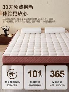 ?乳胶床垫家用卧室软垫榻榻米记忆海绵垫子遮盖物宿舍单人租房专