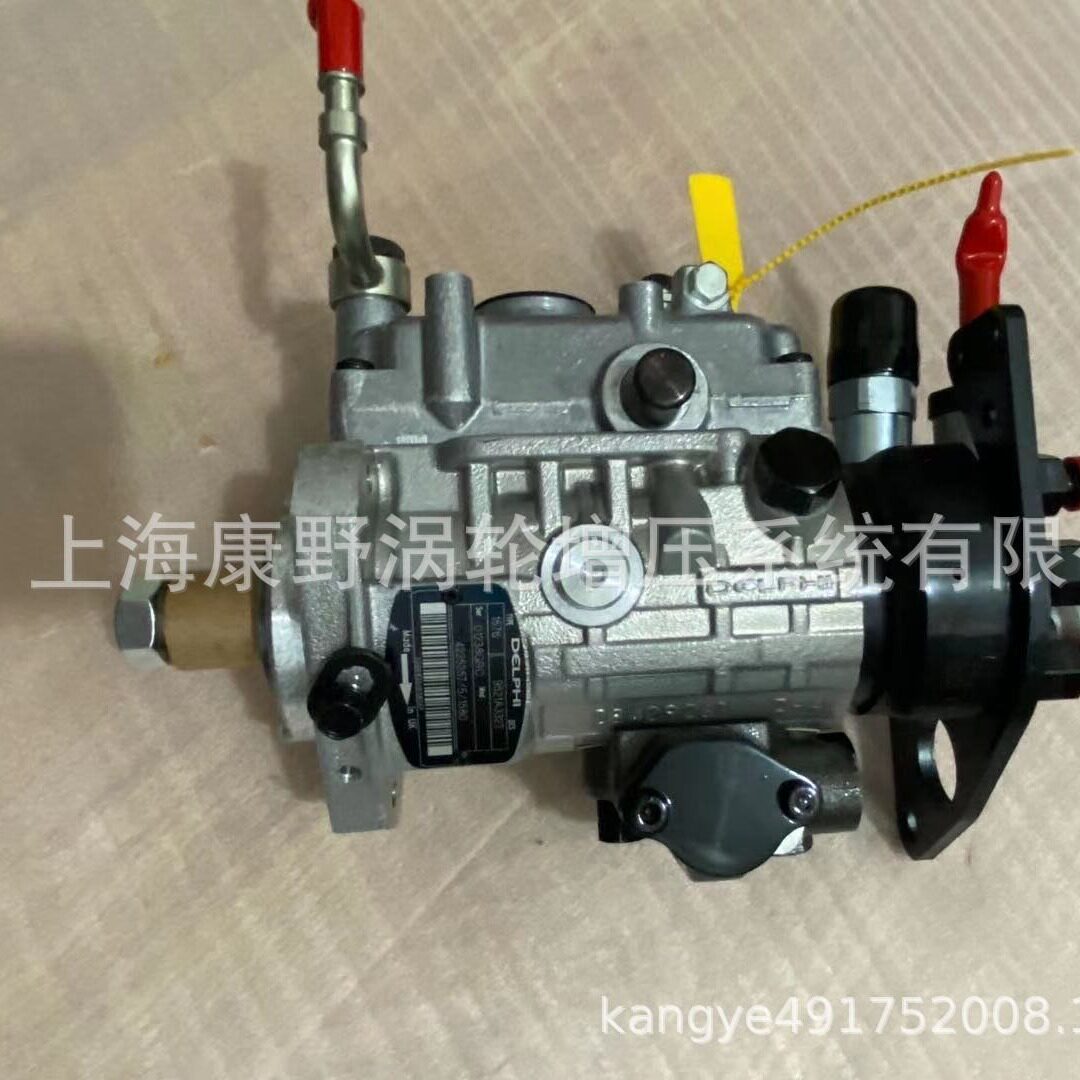 原装喷油泵8920A796G 8920A790G  2644F822和8924A530G 2644K622