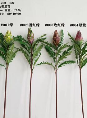 小头帝王花婚庆布景样板房设计插花家居装饰非洲国花客厅酒店摆件