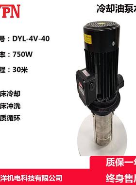 广东德洋DYL4V40数控机床冷却水泵不锈钢水泵抛光机水泵