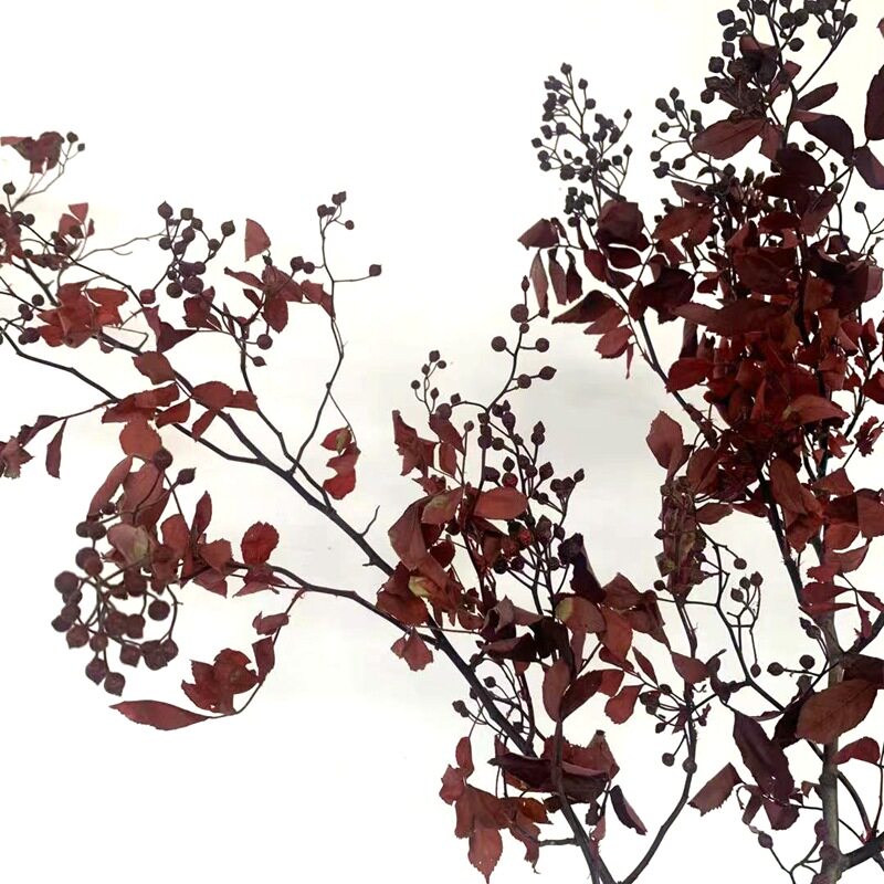天然植物干花花枝 山归来树枝 插花家居装饰 软装