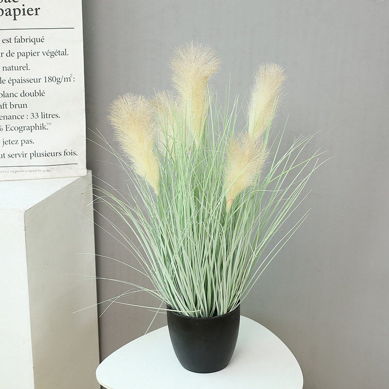 北欧装饰芦苇干花盆栽现货