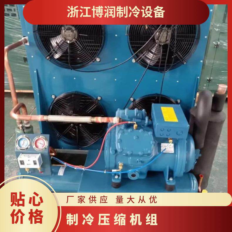 制冷压缩机组全套设备半封闭风冷式压缩机吹风制冷冷藏冷凝机组