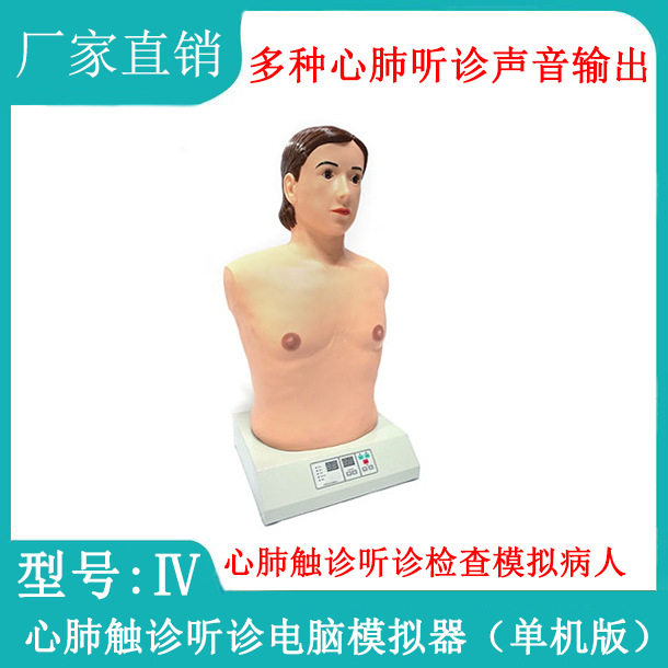 心肺触诊听诊电脑模拟器(单机版)心肺听诊训练模型KAS-Ⅳ