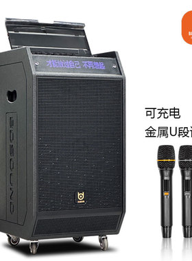 贝德BD-H1985户外大功率直播K歌音响广场舞重低音乐器演奏音箱