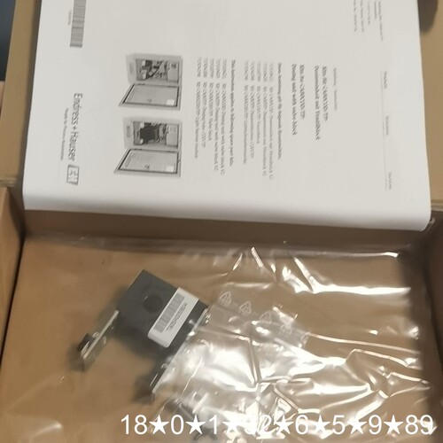 E H恩德斯毫斯CA80COD CA80TP定量光栅。