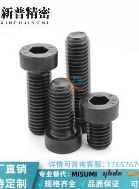 CBS6/8-8/10/12/16/20/25/30/354045505560短/低头内六角螺栓替代