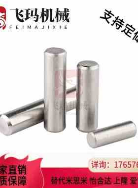 替代内螺纹圆柱销 正公差定位销MSTM6/8-10/15/20/25/30/35/40/45