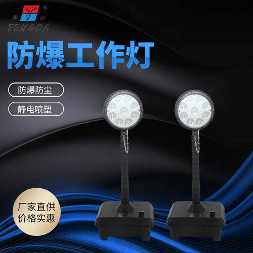 30W便携式检修用防爆防尘强光工作灯 HZG6105轻便式移动防爆灯