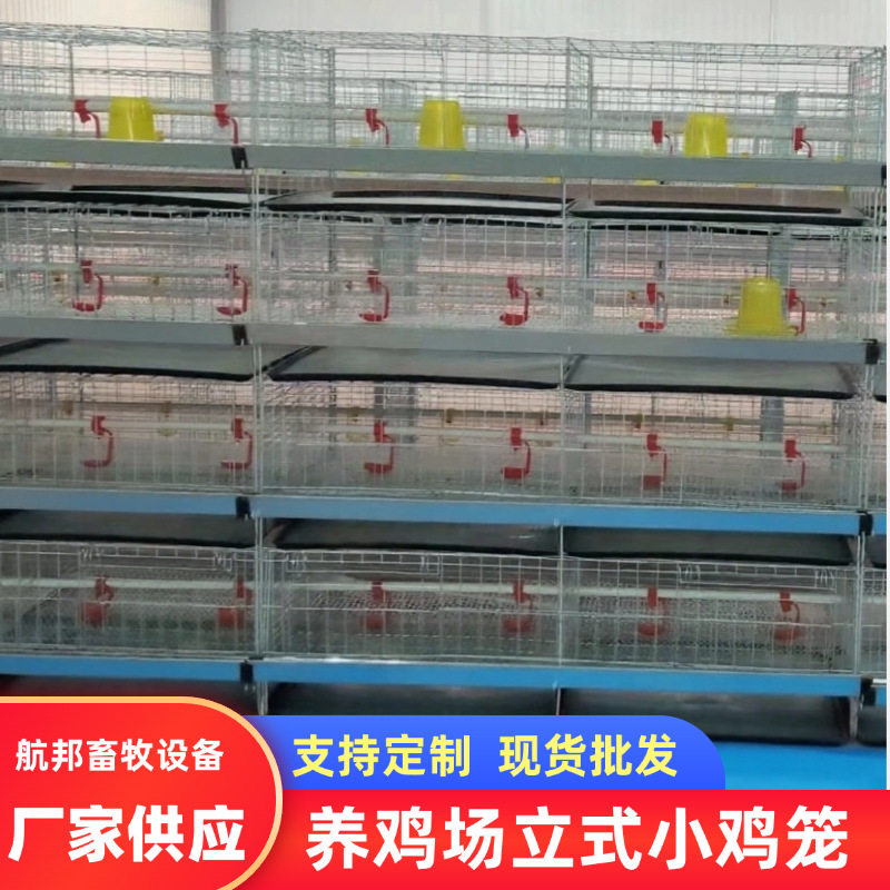 镀锌雏鸡笼育雏笼4层一体立式鸡笼 土鸡公鸡鸽笼小鸡育雏笼养殖