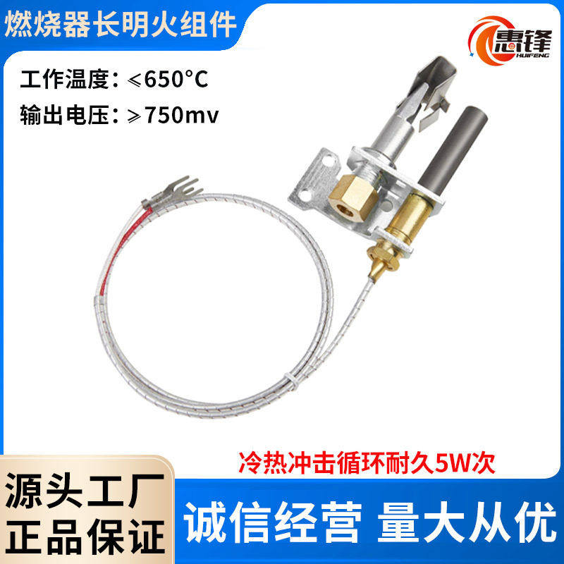 液化天然气炸炉配件引火头缺氧保护装置带750mV温控热电堆36英寸