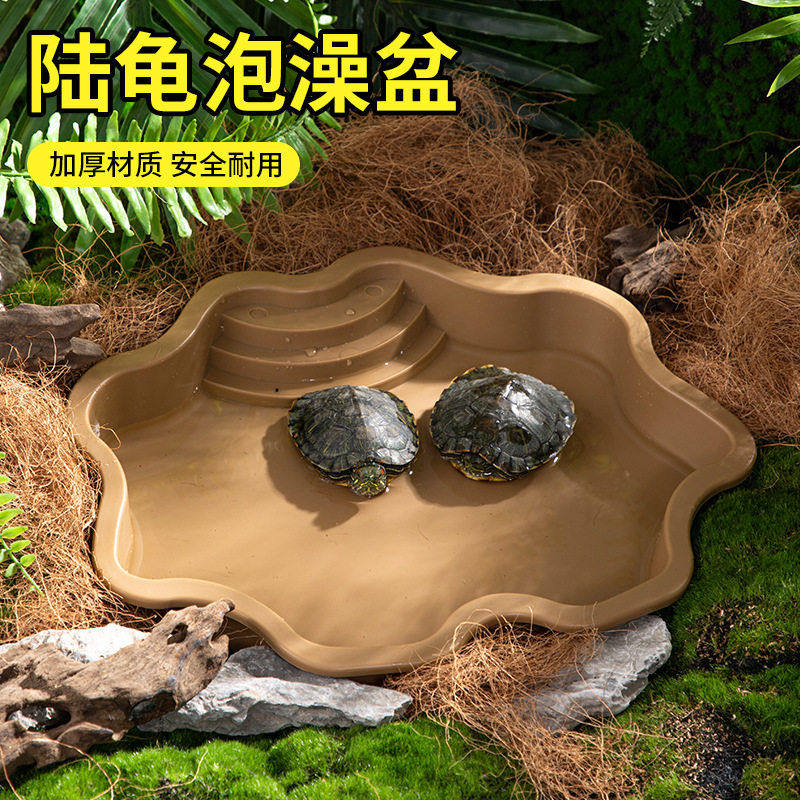 乌龟超大泡澡盆陆龟半水龟爬虫宠物饲养水盆塑胶鱼缸造景摆件爬梯,宠物/宠物食品及用品,其它水族用具设备,淘宝优惠券,粉丝福利购,淘宝优惠卷