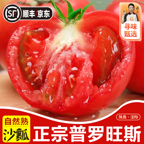 普罗旺斯沙瓤西红柿新鲜自然熟！