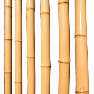 竹竿防腐庭院装饰户外搭架青黄白竹彩旗跳舞栅栏篱笆围栏竹杆竹子